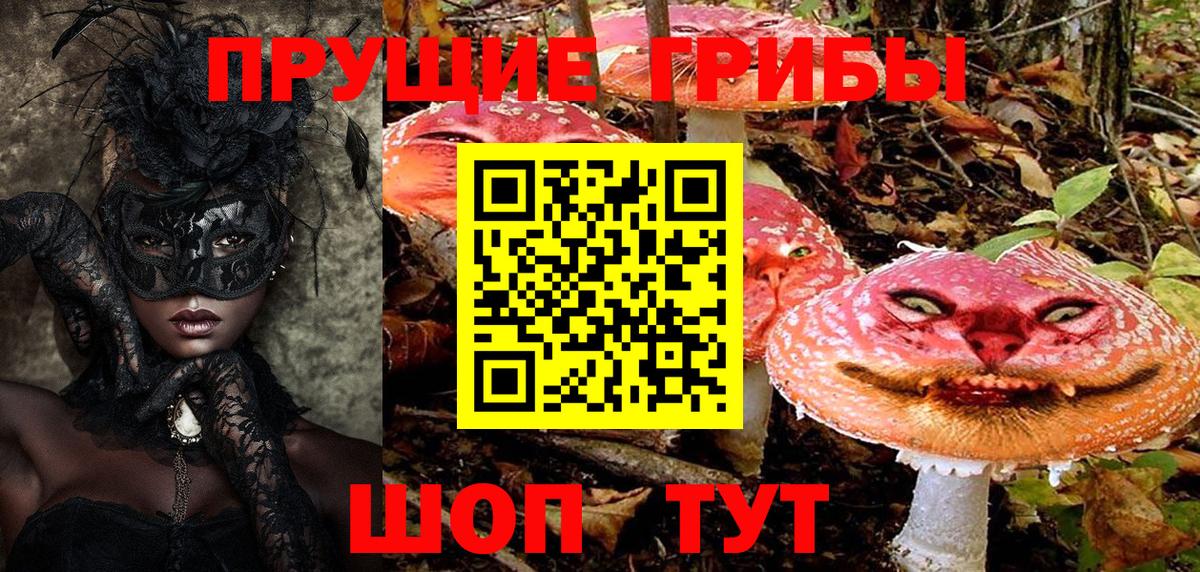 Галлюциногенные грибы Cubensis Пушкино