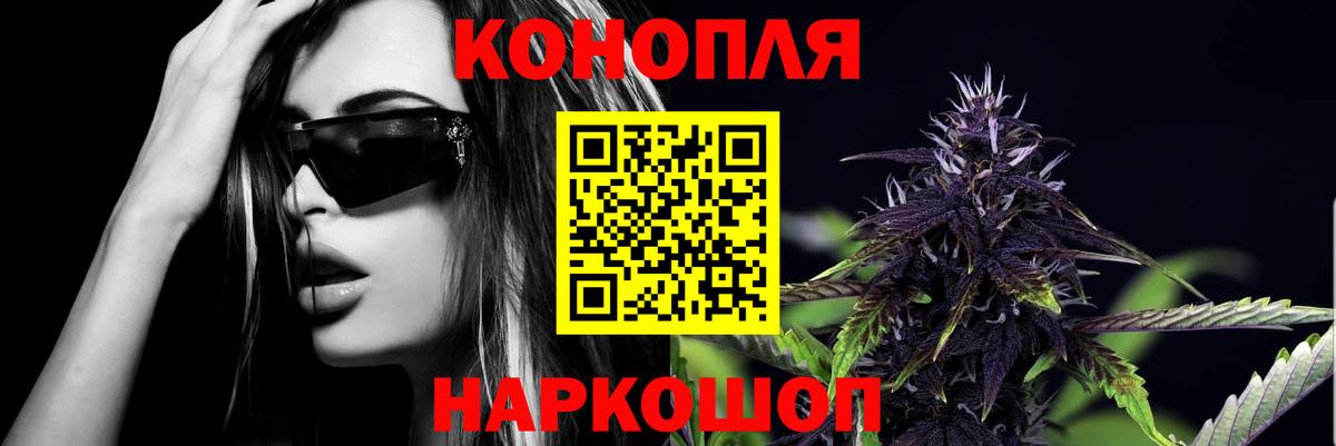 Шишки марихуана марихуана Пушкино